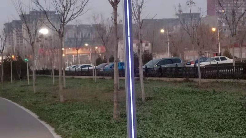道路照明灯具选型：如何兼顾光效与安全